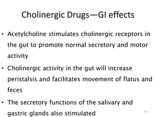 Cholinergic Drugs—GI effects
• Acetylcholine stimulates cholinergic receptors in
the gut to promote normal secretory and motor
activity
• Cholinergic activity in the gut will increase
peristalsis and facilitates movement of flatus and
feces
• The secretory functions of the salivary and
gastric glands also stimulated 28
 
