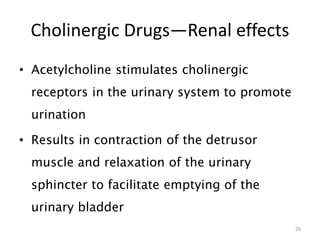 Cholinergic Drugs—Renal effects
• Acetylcholine stimulates cholinergic
receptors in the urinary system to promote
urination
• Results in contraction of the detrusor
muscle and relaxation of the urinary
sphincter to facilitate emptying of the
urinary bladder
29
 