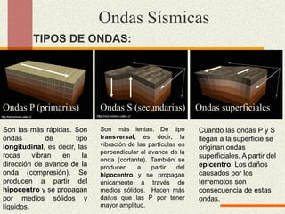 Ondas P (primarias) Ondas S (secundarias) Ondas superficiales
Son las más rápidas. Son
ondas de tipo
longitudinal, es decir, las
rocas vibran en la
dirección de avance de la
onda (compresión). Se
producen a partir del
hipocentro y se propagan
por medios sólidos y
líquidos.
Son más lentas. De tipo
transversal, es decir, la
vibración de las partículas es
perpendicular al avance de la
onda (cortante). También se
producen a partir del
hipocentro y se propagan
únicamente a través de
medios sólidos. Hacen más
daňos que las P por tener
mayor amplitud.
Cuando las ondas P y S
llegan a la superficie se
originan ondas
superficiales. A partir del
epicentro. Los daños
causados por los
terremotos son
consecuencia de estas
ondas.
TIPOS DE ONDAS:
Ondas Sísmicas
 