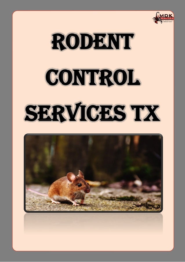 Rodent
Control
Services TX
 