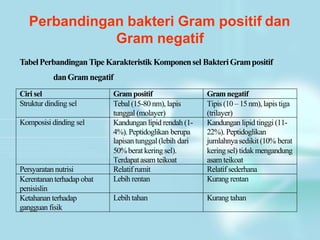 Perbandingan bakteri Gram positif dan
Gram negatif
TabelPerbandinganTipe Karakteristik Komponensel BakteriGrampositif
danGram negatif
Ciri sel Grampositif Gramnegatif
Struktur dinding sel Tebal(15-80 nm), lapis
tunggal (molayer)
Tipis (10 – 15nm), lapis tiga
(trilayer)
Komposisi dinding sel Kandungan lipid rendah (1-
4%).Peptidoglikan berupa
lapisantunggal (lebih dari
50%berat kering sel).
Terdapatasam teikoat
Kandungan lipid tinggi(11-
22%). Peptidoglikan
jumlahnyasedikit (10% berat
keringsel) tidak mengandung
asam teikoat
Persyaratan nutrisi Relatif rumit Relatif sederhana
Kerentananterhadap obat
penisislin
Lebih rentan Kurang rentan
Ketahanan terhadap
gangguan fisik
Lebih tahan Kurang tahan
 