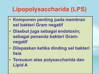 Lipopolysaccharida (LPS)
• Komponen penting pada membran
sel bakteri Gram negatif
• Disebut juga sebagai endotoxin;
sebagai penanda bakteri Gram-
negatif
• Dilepaskan ketika dinding sel bakteri
lisis
• Tersusun atas polysaccharida dan
Lipid A
 