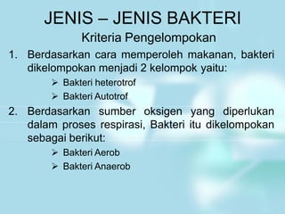 JENIS – JENIS BAKTERI
Kriteria Pengelompokan
1. Berdasarkan cara memperoleh makanan, bakteri
dikelompokan menjadi 2 kelompok yaitu:
 Bakteri heterotrof
 Bakteri Autotrof
2. Berdasarkan sumber oksigen yang diperlukan
dalam proses respirasi, Bakteri itu dikelompokan
sebagai berikut:
 Bakteri Aerob
 Bakteri Anaerob
 