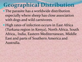 Geographical Distribution
 The parasite has a worldwide distribution
especially where sheep has close association
with dogs and wild carnivores.
 High rates of infection occurs in East Africa
(Turkana region in Kenya), North Africa, South
Africa,, India, Eastern Mediterranean, Middle
East and parts of Southern America and
Australia.
7
 