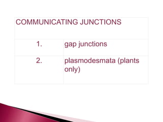 COMMUNICATING JUNCTIONS
1. gap junctions
2. plasmodesmata (plants
only)
 
