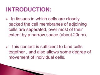 .
 In tissues in which cells are closely
packed the cell membranes of adjoining
cells are seperated, over most of their
extent by a narrow space (about 20nm).
 this contact is sufficient to bind cells
together , and also allows some degree of
movement of individual cells.
 