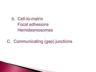 b. Cell-to-matrix
Focal adhesions
Hemidesmosomes
C. Communicating (gap) junctions
 