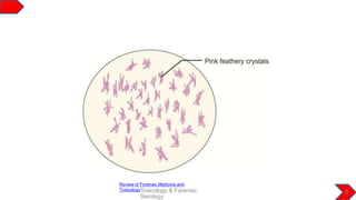 Review of Forensic Medicine and
ToxicologyToxicology & Forensic
Serology
8
 