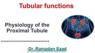 Physiology of the
Proximal Tubule
••••••••••••••••••••••••••••••••
Dr. Ramadan Saad
Tubular functions
 