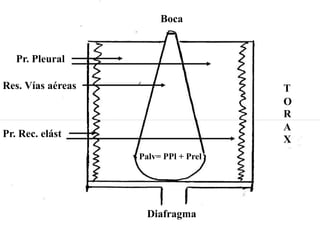 Boca
Diafragma
Palv= PPl + Prel
Pr. Pleural
Pr. Rec. elást
T
O
R
A
X
Res. Vías aéreas
 