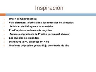 Inspiración
1. Orden de Control central
2. Vías eferentes: información a los músculos inspiratorios
3. Actividad de diafragma e intercostales
4. Presión pleural se hace más negativa
5. Aumenta el gradiente de Presión transmural alveolar
6. Los alveolos se expanden
7. Disminuye la PA, entonces PA < PB
8. Gradiente de presión genera flujo de entrada de aire
 