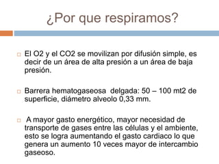 ¿Por que respiramos?
 El O2 y el CO2 se movilizan por difusión simple, es
decir de un área de alta presión a un área de baja
presión.
 Barrera hematogaseosa delgada: 50 – 100 mt2 de
superficie, diámetro alveolo 0,33 mm.
 A mayor gasto energético, mayor necesidad de
transporte de gases entre las células y el ambiente,
esto se logra aumentando el gasto cardiaco lo que
genera un aumento 10 veces mayor de intercambio
gaseoso.
 