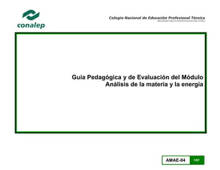 AMAE-04 1/87
Guía Pedagógica y de Evaluación del Módulo
Análisis de la materia y la energía
 