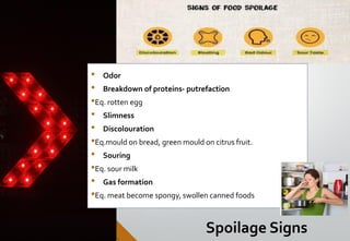 3. Food Spoilage.pdf