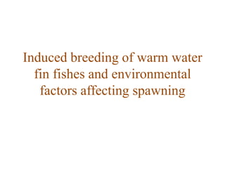 Induced breeding of warm water
fin fishes and environmental
factors affecting spawning
 