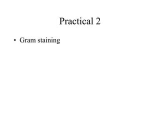 Practical 2
• Gram staining
 