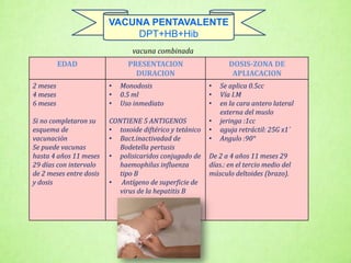 EDAD PRESENTACION
DURACION
DOSIS-ZONA DE
APLIACACION
2 meses
4 meses
6 meses
Si no completaron su
esquema de
vacunación
Se puede vacunas
hasta 4 años 11 meses
29 días con intervalo
de 2 meses entre dosis
y dosis
• Monodosis
• 0.5 ml
• Uso inmediato
CONTIENE 5 ANTIGENOS
• toxoide diftérico y tetánico
• Bact.inactivadad de
Bodetella pertusis
• polisicaridos conjugado de
haemophilus influenza
tipo B
• Antígeno de superficie de
virus de la hepatitis B
• Se aplica 0.5cc
• Vía I.M
• en la cara antero lateral
externa del muslo
• jeringa :1cc
• aguja retráctil: 25G x1´
• Angulo :90°
De 2 a 4 años 11 meses 29
días.: en el tercio medio del
músculo deltoides (brazo).
vacuna combinada
VACUNA PENTAVALENTE
DPT+HB+Hib
 