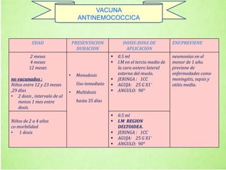 VACUNA
ANTINEMOCOCCICA
EDAD PRESENTACION
DURACION
DOSIS-ZONA DE
APLICACION
ENF.PREVIENE
2 meses
4 meses
12 meses
no vacunados :
Niños entre 12 y 23 meses
,29 días
• 2 dosis , intervalo de al
menos 1 mes entre
dosis.
• Monodosis
Uso inmediato
• Multidosis
hasta 35 días
 0.5 ml
 I.M en el tercio medio de
la cara antero lateral
externa del muslo.
 JERINGA : 1CC
 AGUJA: 25 G X1´
 ANGULO: 90°
neumonías en el
menor de 1 año.
previene de
enfermedades como
meningitis, sepsis y
otitis media.
Niños de 2 a 4 años
co morbilidad
• 1 dosis
 0.5 ml
 I.M REGION
DELTOIDEA.
 JERINGA : 1CC
 AGUJA: 25 G X1´
 ANGULO: 90°
 