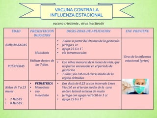 vacuna trivalente , virus inactivado
EDAD PRESENTACION
DURACION
DOSIS-ZONA DE APLICACION ENF. PREVIENE
EMBARAZADAS
Multidosis
Utilizar dentro de
las 7 días.
• 1 dosis a partir del 4to mes de la gestación
• jeringa:1 cc
• aguja 25 G x 1".
• vía intramuscular.
Virus de la influenza
estacional (gripe)
PUÉRPERAS
• Con niños menores de 6 meses de vida, que
no fueron vacunadas en el periodo de
gestación
• 1 dosis ,vía I.M en el tercio medio de la
región deltoidea
Niños de 7 a 23
meses
• 7 MESES
• 8 MESES
• PEDIATRICA
• Monodosis
• uso
inmediato
• Dos dosis de 0.25 cc con intervalo 1mes
Vía I.M. en el tercio medio de la cara
antero lateral externa de muslo
• jeringa con aguja retráctil de 1 cc
• aguja 25 G x 1”.
VACUNA CONTRA LA
INFLUENZA ESTACIONAL
 