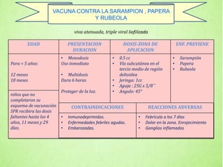 viva atenuada, triple viral liofilizada
EDAD PRESENTACION
DURACION
DOSIS-ZONA DE
APLICACION
ENF. PREVIENE
Para < 5 años:
12 meses
18 meses
• Monodosis
Uso inmediato
• Multidosis
Dura 6 horas
Proteger de la luz.
• 0.5 cc
• Vía subcutánea en el
tercio medio de región
deltoidea
• Jeringa: 1cc
• Aguja : 25G x 5/8´´
• Angulo: 45°
• Sarampión
• Papera
• Rubeola
niños que no
completaron su
esquema de vacunación
SPR recibira las dosis
faltantes hasta los 4
años, 11 meses y 29
días.
CONTRAINDICACIONES REACCIONES ADVERSAS
• Inmunodeprimidos.
• Enfermedades febriles agudas.
• Embarazadas.
• Febrícula a los 7 días
• Dolor en la zona. Enrojecimiento
• Ganglios inflamados
VACUNA CONTRA LA SARAMPION , PAPERA
Y RUBEOLA
 