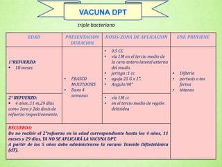 triple bacteriana
EDAD PRESENTACION
DURACION
DOSIS-ZONA DE APLICACION ENF. PREVIENE
1°REFUERZO:
 18 meses
• FRASCO
MULTIDOSIS
• Dura 4
semanas
• 0.5 CC
• vía I.M en el tercio medio de
la cara antero lateral externa
del muslo.
• jeringa :1 cc
• aguja 25 G x 1”.
• Angulo:90°
• Difteria
• pertusis o tos
ferina
• tétanos
2° REFUERZO:
 4 años ,11 m,29 días
como 1era y 2da dosis de
refuerzo respectivamente,
• vía I.M cc
• en el tercio medio de región
deltoidea
RECUERDA:
De no recibir el 2°refuerzo en la edad correspondiente hasta los 4 años, 11
meses y 29 días, YA NO SE APLICARÁ LA VACUNA DPT.
A partir de los 5 años debe administrarse la vacuna Toxoide Diftotetánica
(dT).
VACUNA DPT
 