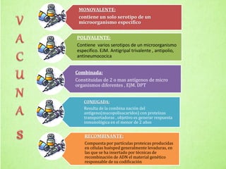 MONOVALENTE:
contiene un solo serotipo de un
microorganismo especifico
POLIVALENTE:
Contiene varios serotipos de un microorganismo
especifico. EJM. Antigripal trivalente , antipolio,
antineumococica
Combinada:
Constituidas de 2 o mas antígenos de micro
organismos diferentes , EJM. DPT
CONJUGADA:
Resulta de la combina nación del
antígeno(mucopolisacaridos) con proteínas
transportadoras , objetivo es generar respuesta
inmunológica en el menor de 2 años
RECOMBINANTE:
Compuesta por partículas proteicas producidas
en células huésped generalmente levaduras, en
las que se ha insertado por técnicas de
recombinación de ADN el material genético
responsable de su codificación
 