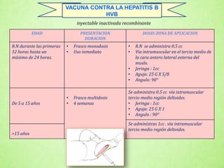 inyectable inactivada recombinante
VACUNA CONTRA LA HEPATITIS B
HVB
EDAD PRESENTACION
DURACION
DOSIS-ZONA DE APLICACION
R.N durante las primeras
12 horas hasta un
máximo de 24 horas.
• Frasco monodosis
• Uso inmediato
• R.N se administra 0.5 cc
• Via intramuscular en el tercio medio de
la cara antero lateral externa del
muslo.
• Jeringa : 1cc
• Aguja: 25 G X 5/8
• Angulo: 90°
De 5 a 15 años
• Frasco multidosis
• 4 semanas
Se administra 0.5 cc vía intramuscular
tercio medio región deltoides.
• Jeringa : 1cc
• Aguja: 25 G X 1
• Angulo : 90°
Se administras 1cc . vía intramuscular
tercio medio región deltoides.
>15 años
 