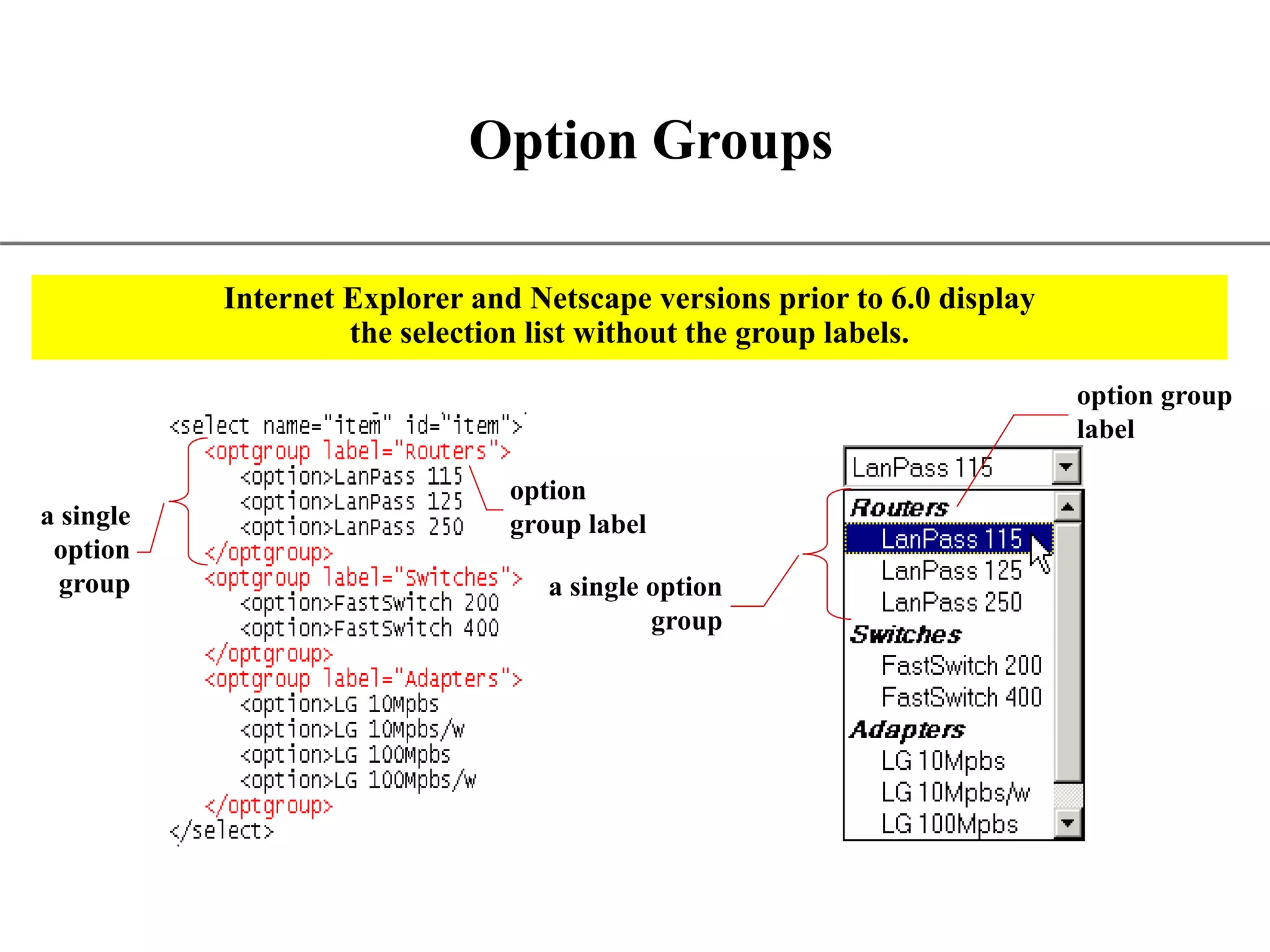 XP Option Groups a single option group option group label a single option group option group label Internet Explorer and Netscape versions prior to 6.0 display the selection list without the group labels. 