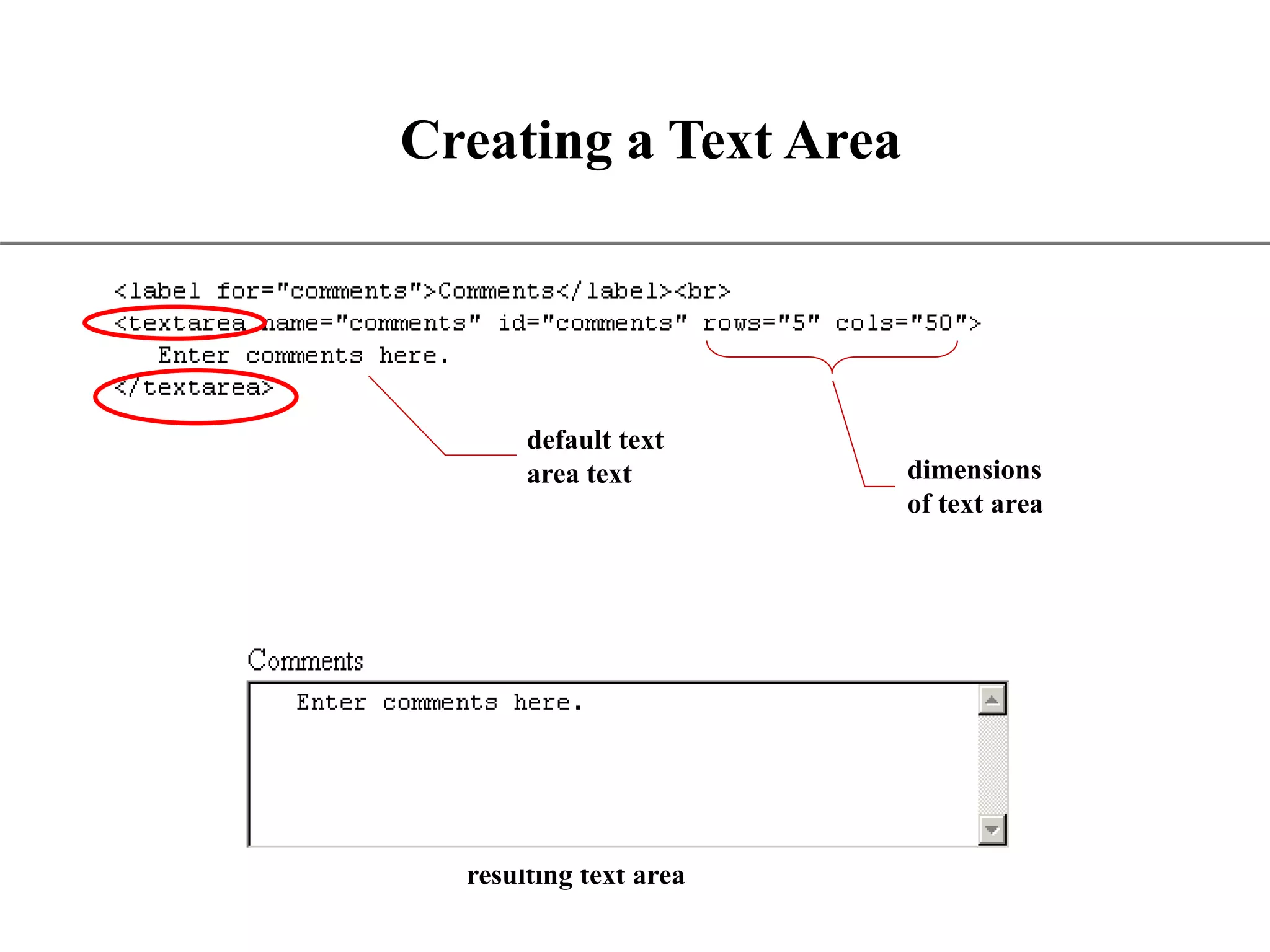 XP Creating a Text Area resulting text area dimensions of text area default text area text 