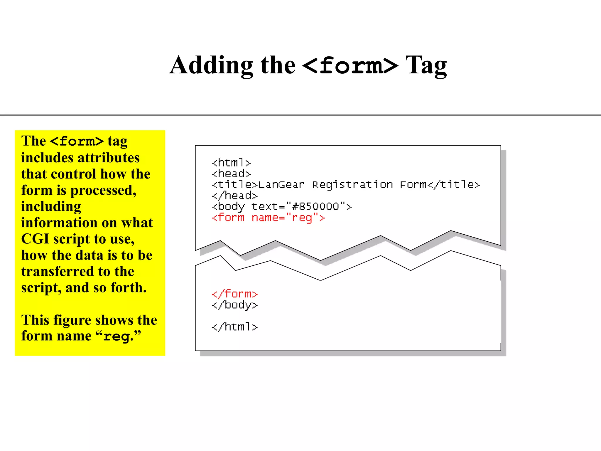 XP Adding the <form> Tag The <form> tag includes attributes that control how the form is processed, including information on what CGI script to use, how the data is to be transferred to the script, and so forth. This figure shows the form name “reg.” 