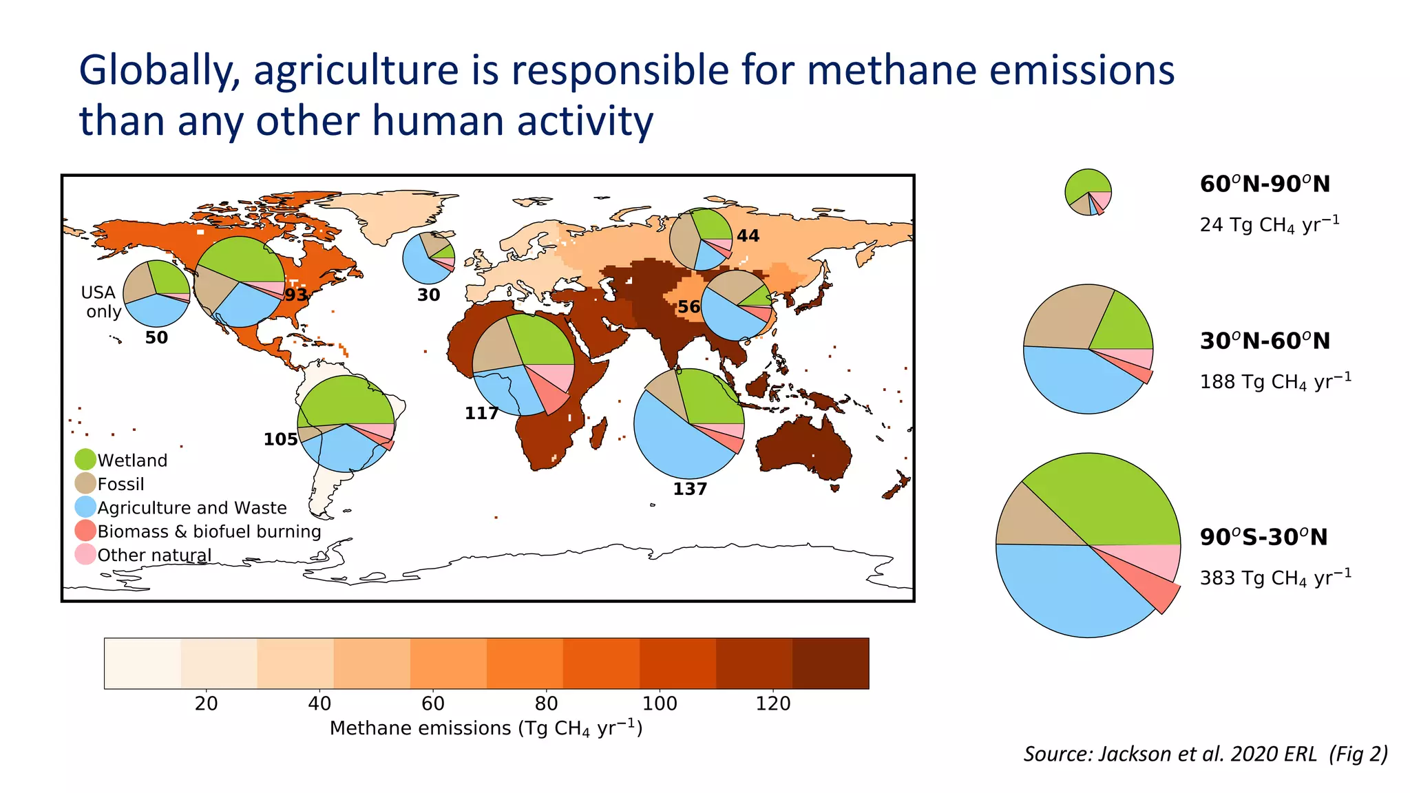 Source: Jackson et al. 2020 ERL (Fig 2)
Globally, agriculture is responsible for methane emissions
than any other human activity
 