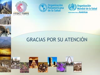 GRACIAS POR SU ATENCIÓN
 
