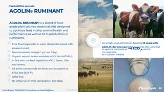 3. Feed Additives - Presentation - Feedworks Conference 2022-compressed ...