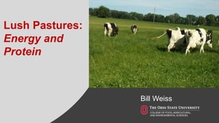 Bill Weiss
Lush Pastures:
Energy and
Protein
 