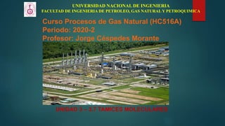 Curso Procesos de Gas Natural (HC516A)
Periodo: 2020-2
Profesor: Jorge Céspedes Morante
UNIDAD 3 – 3.7 TAMICES MOLECULARES
UNIVERSIDAD NACIONAL DE INGENIERIA
FACULTAD DE INGENIERIA DE PETROLEO, GAS NATURAL Y PETROQUIMICA
 