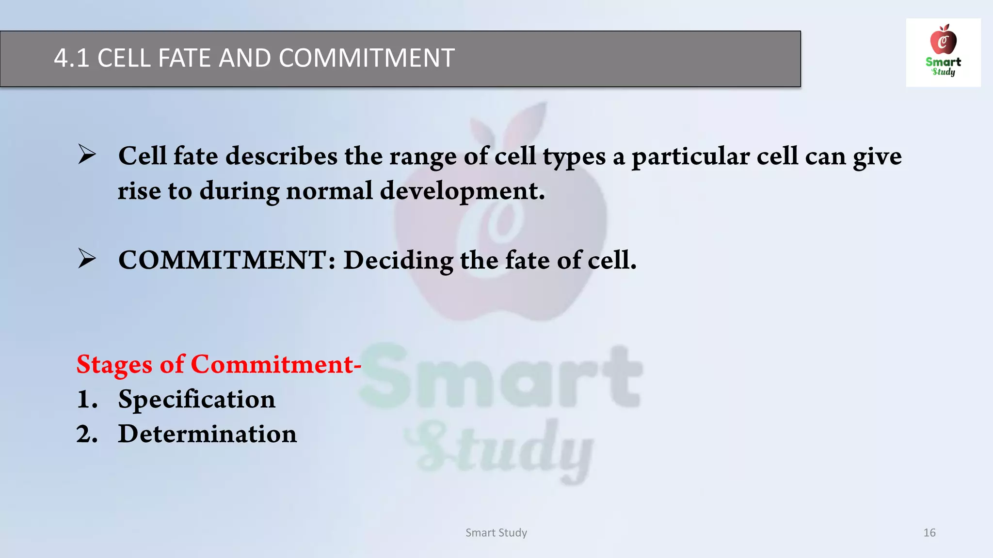 4.1 CELL FATE AND COMMITMENT
Smart Study 16


 