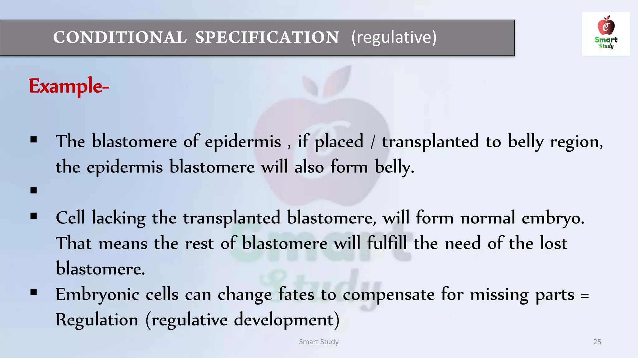 (regulative)
Smart Study 25
Example-
 The blastomere of epidermis , if placed / transplanted to belly region,
the epidermis blastomere will also form belly.

 Cell lacking the transplanted blastomere, will form normal embryo.
That means the rest of blastomere will fulfill the need of the lost
blastomere.
 Embryonic cells can change fates to compensate for missing parts =
Regulation (regulative development)
 