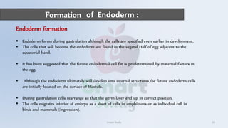 Formation of Endoderm :
Smart Study 10
Endoderm formation
 Endoderm forms during gastrulation although the cells are specified even earlier in development.
 The cells that will become the endoderm are found in the vegetal Half of egg adjacent to the
equatorial band.
 It has been suggested that the future endodermal cell fat is predetermined by maternal factors in
the egg.
 Although the endoderm ultimately will develop into internal structures,the future endoderm cells
are initially located on the surface of blastula.
 During gastrulation cells rearrange so that the germ layer end up in correct position.
 The cells migrates interior of embryo as a sheet of cells in amphibions or as individual cell in
birds and mammals (ingression).
 