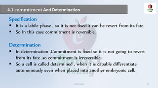 4.1 commitment And Determination
Smart Study 17
Specification
 It is a labile phase , so it is not fixed.it can be revert from its fate.
 So in this case commitment is reversible.
Determination
 In determination ,Commitment is fixed so it is not going to revert
from its fate .so commitment is irreversible.
 So a cell is called determined , when it is capable differentiate
autonomously even when placed into another embryonic cell.
 