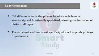 4.1 Differentiation
Smart Study 18
 Cell differentiation is the process by which cells become
structurally and functionally specialized, allowing the formation of
distinct cell types.
 The structural and functional specificity of a cell depends proteins
it synthesizes.
 