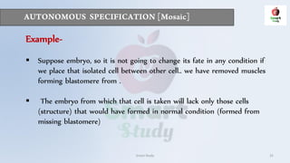 Smart Study 22
Example-
 Suppose embryo, so it is not going to change its fate in any condition if
we place that isolated cell between other cell.. we have removed muscles
forming blastomere from .
 The embryo from which that cell is taken will lack only those cells
(structure) that would have formed in normal condition (formed from
missing blastomere)
 