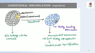 (regulative)
Smart Study 26
 