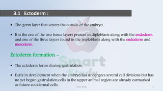 3.1 Ectoderm :
 The germ layer that covers the outside of the embryo.
 It is the one of the two tissue layers present in diploblasts along with the endoderm
and one of the three layers found in the triploblasts along with the endoderm and
mesoderm.
Ectoderm formation -
 The ectoderm forms during gastrulation.
 Early in development when the embryo has undergoes several cell divisions but has
no yet begun gastrulation,cells in the upper animal region are already earmarked
as future ectodermal cells. Smart Study 5
 