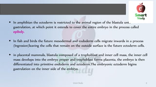  In amphibian the ectoderm is restricted to the animal region of the blastula until
gastrulation, at which point it extends to cover the entire embryo in the process called
epiboly.
 In fish and birds the future mesodermal and endoderm cells migrate inwards in a process
(Ingresion)leaving the cells that remain on the outside surface is the future ectoderm cells.
 in placental mammals, blastula composed of a trophoblast and inner cell mass, the inner cell
mass develops into the embryo proper and trophoblast forms placenta, the embryo is then
differentiated into primitive endoderm and ectoderm.The embryonic ectoderm bigins
gastrulation on the inner side of the embryo.
Smart Study 6
 