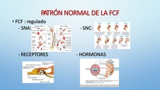 3. CLASIFICACIÓN DEL MONITOREO FETAL.pdf
