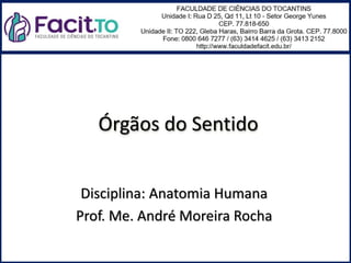 Órgãos do Sentido
Disciplina: Anatomia Humana
Prof. Me. André Moreira Rocha
 