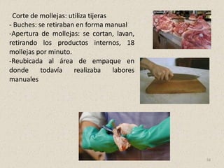- Corte de mollejas: utiliza tijeras
- Buches: se retiraban en forma manual
-Apertura de mollejas: se cortan, lavan,
retirando los productos internos, 18
mollejas por minuto.
-Reubicada al área de empaque en
donde todavía realizaba labores
manuales
58
 