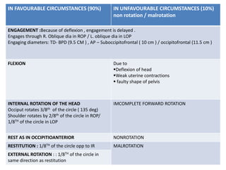 3.mech of labour.pptx