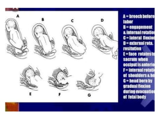 3.mech of labour.pptx