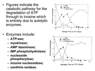 • Figures indicate the
catabolic pathway for the
degradation of ATP
through to inosine which
is entirely due to autolytic
enzymes.
• Enzymes include:
– ATP-ase;
– myokinase;
– AMP deaminase;
– IMP phosphohydrolase;
– nucleoside
phosphorylase;
– inosine nucleosidase;
– xanthine oxidase.
 
